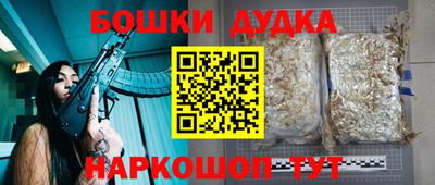 прущие грибы Краснокаменск
