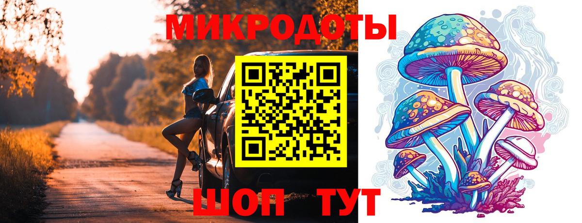 Псилоцибиновые грибы мицелий Дубна