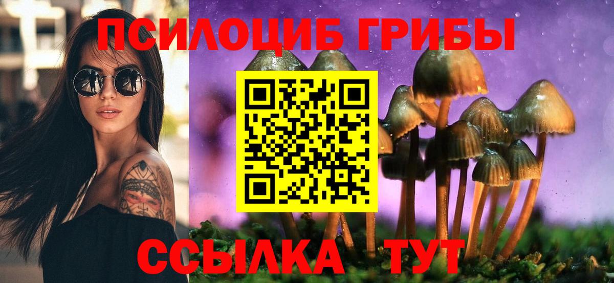 Галлюциногенные грибы Magic Shrooms  Вход с VPN  Дубна 